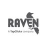 Raven Tools